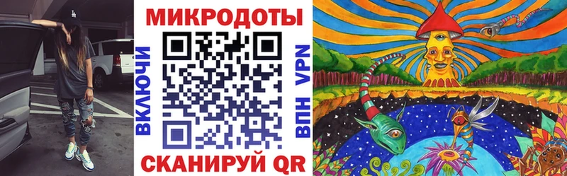 Псилоцибиновые грибы Psilocybe  Сокол 