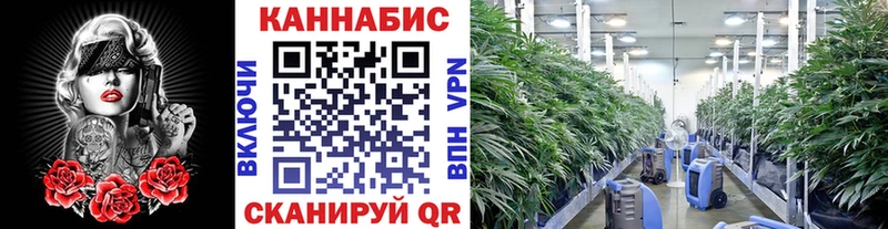 Марихуана Bruce Banner  купить наркотик  Сокол 